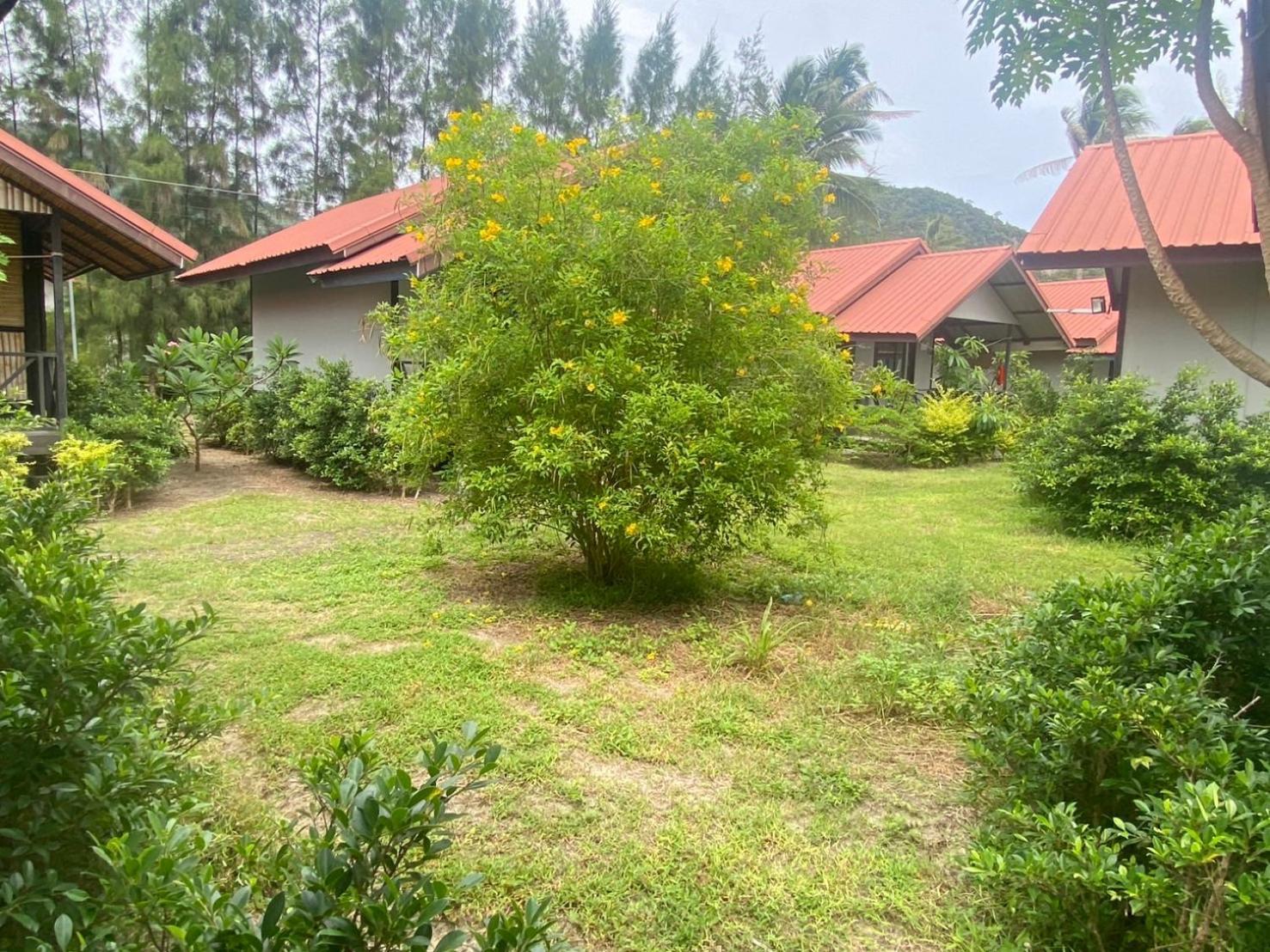 تشالوكلوم Phangan Chalet Bungalow & House المظهر الخارجي الصورة